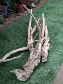 Driftwood For Aquariums Terrariums Decor