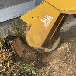 Stump Solution