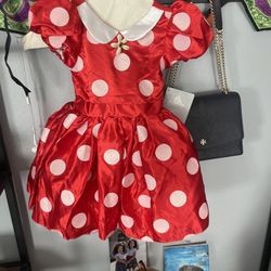 Minnie Costume And Shoes