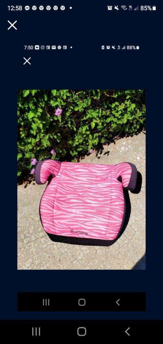 Harmony Pink Zebra Booster Carseat..Great Condition