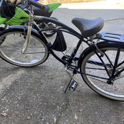 Vintage Schwinn Riverside Cruiser Bikes