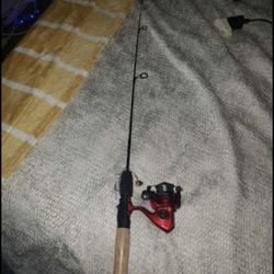 Fishing Pole &Reel, Wire, Lure, Hook 
