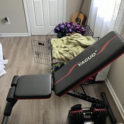 Weight Lifting Bench