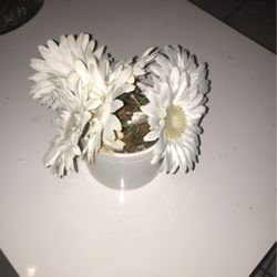 Beautiful Flower Pot With White Fake Flowers