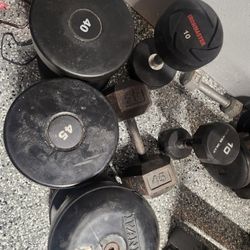 Single Dumbbells 10 40 45 Gym Weights 