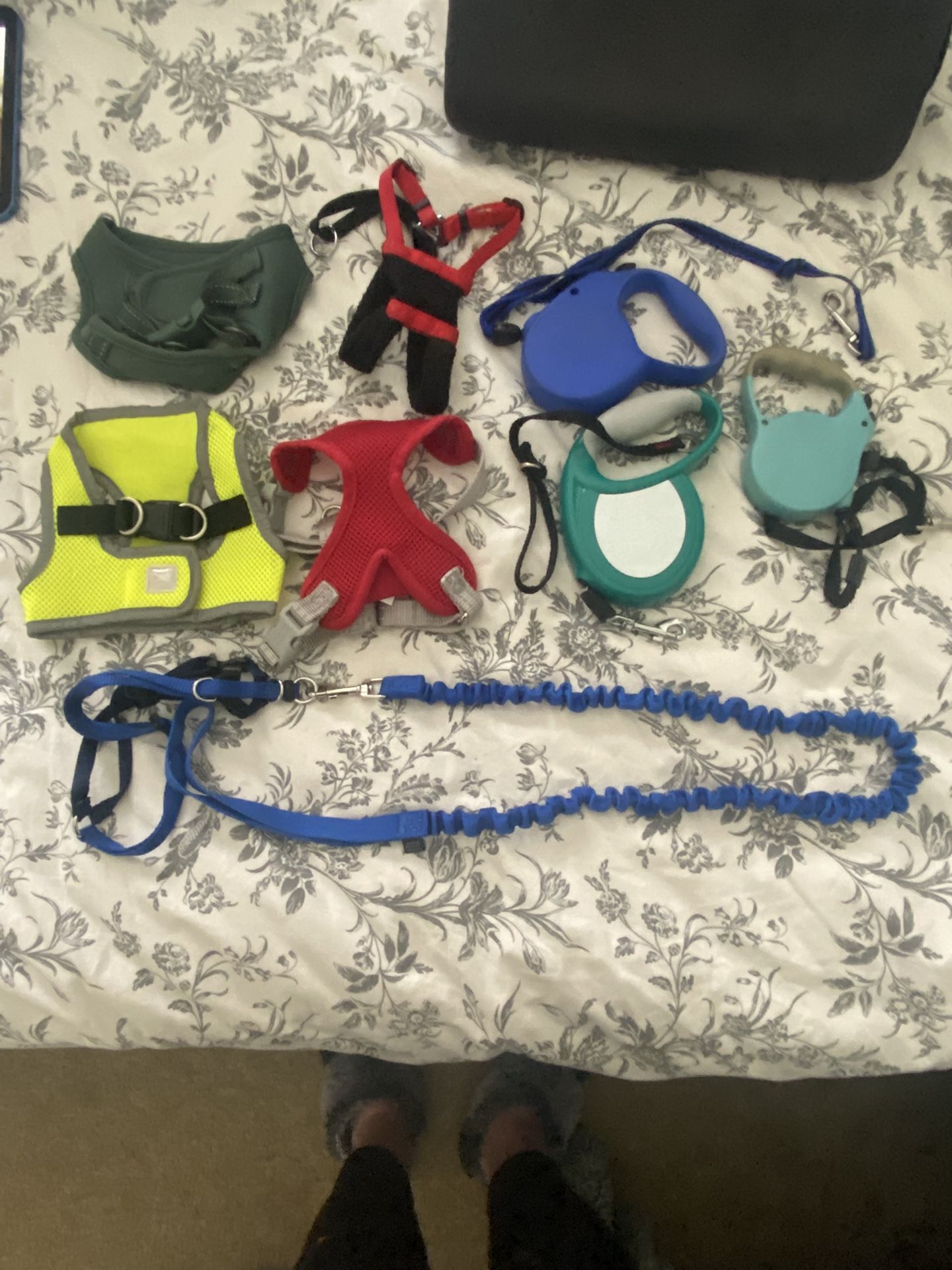 Small Dog Leash’s And Harness  Collection