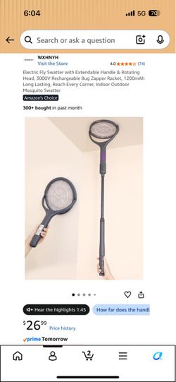 Flyswatter