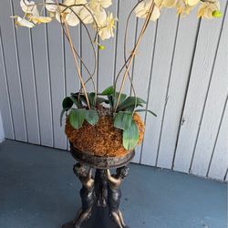 Muses Bronze Plant Brass Sculpture Stand 18”