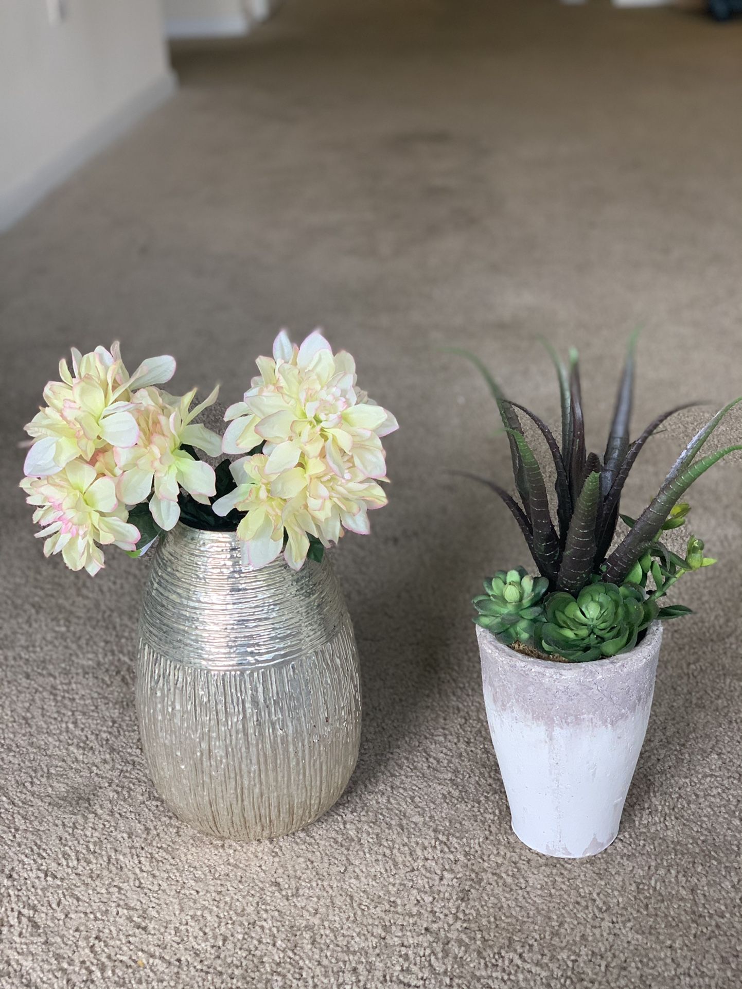 Home Decor Pots