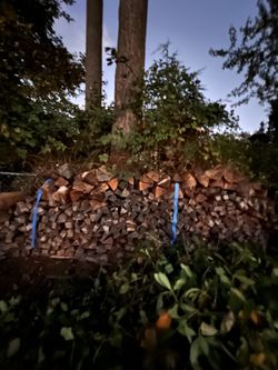  Split Firewood   Seasoned   Hard 