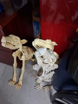 Halloween decorations