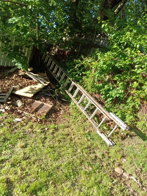 Ladder 30 Ft