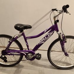 Used AVALON Mountain Bike 