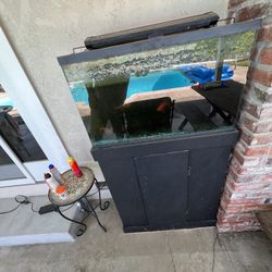 30 Gallon Fish Tank 
