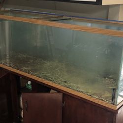 125 Gallon Tank 
