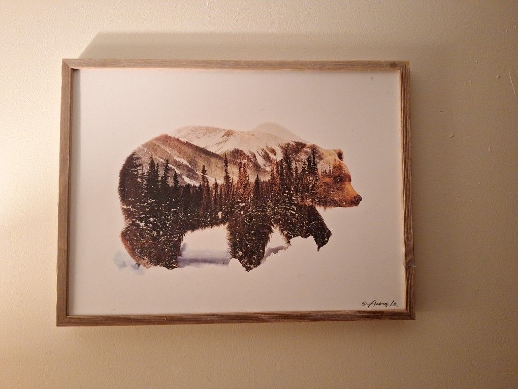 2 Wilderness Pictures