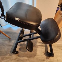 Ergonomic Office Chair - Like New