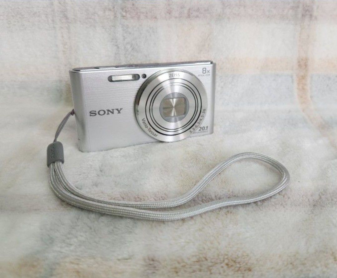 Sony DSCW830 20.1 MP Digital Camera With 2.7-inch LCD (Silver)