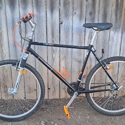 95' Vintage Performance 506 Mountain Bike Restoration