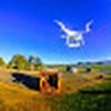 Todd The Lone Droner