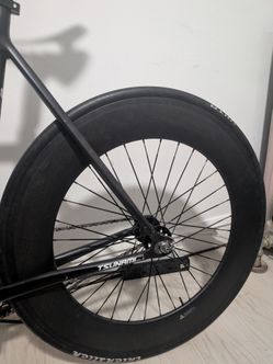 rear carbon 88
