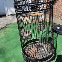 Bird Cage 