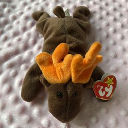 ‼️Rare TY Beanie Baby CHOCOLATE THE MOOSE Rare/Retired ERROR‼️