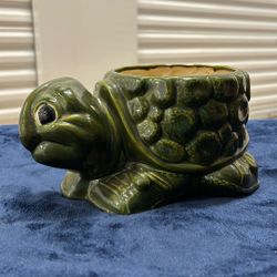Turtle Plant Holder