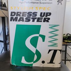 TEIN S. TECH LOWERING SPRING SET