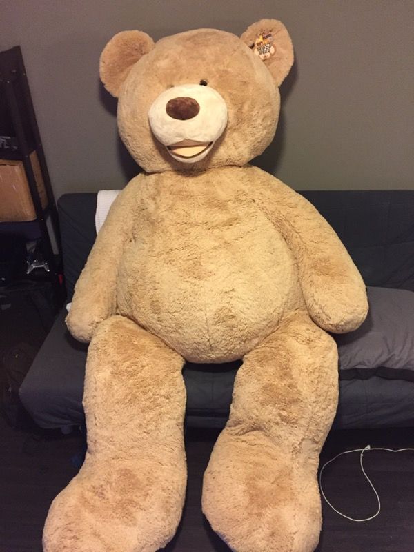 costco hugfun bear