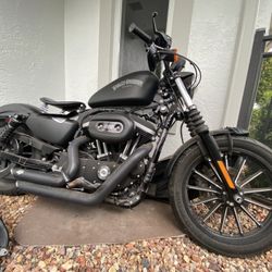 2013 Harley Davison Iron 883
