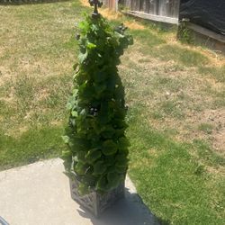 Grape Plant Decor 