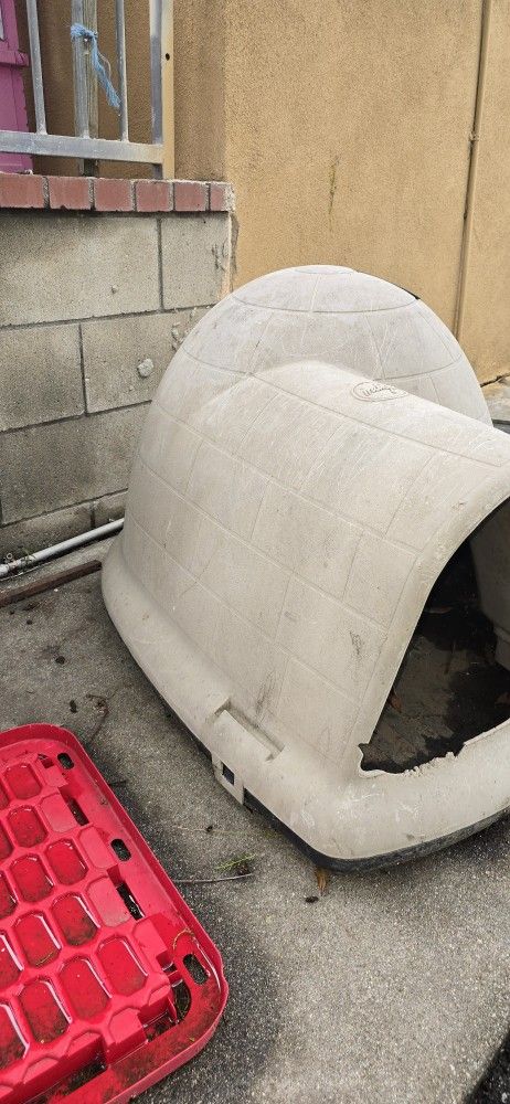 Dog House