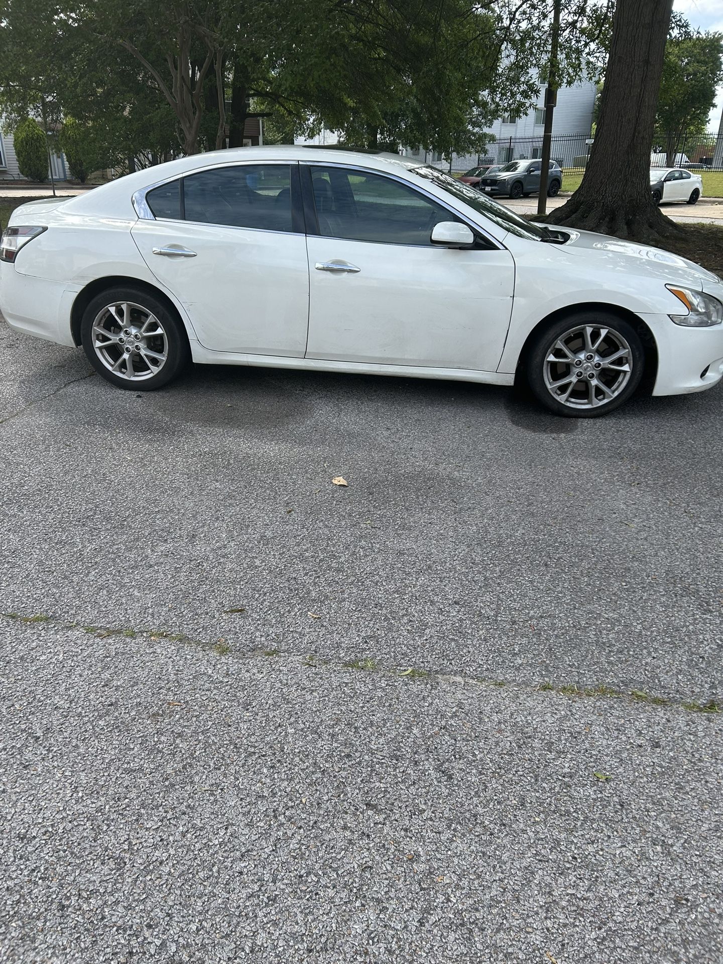 2014 Nissan Maxima