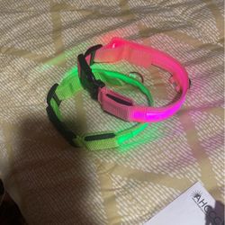 Light Up Dog Collars