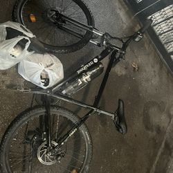 Isinwheel Electric Bike