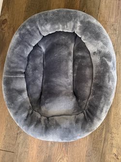 Cat bed