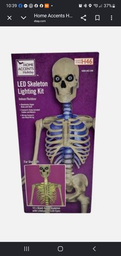 Home Accents Holiday Led 12 Ft. Skelly Lighting Kit Giant-Sized Skelly