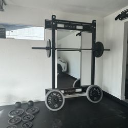 Rogue Gym With Weights