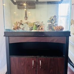 60 Gal. Fish Tank And The Fixture( Comes With Full Set)