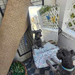 Sink and Medicine Cabinet