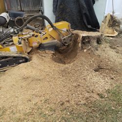 Stump Grinding