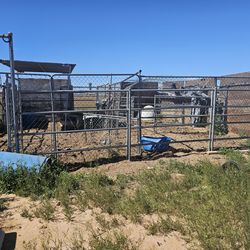 Large Horse Corral 24x24