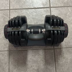 Bowflex Dumbbell 