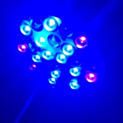 Fish Tank Light Coral.