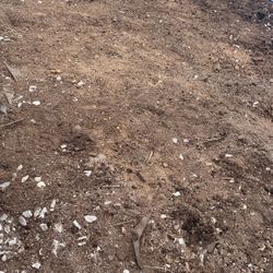 Free Dirt 