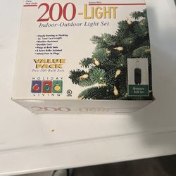 200 Light Indoor-Outdoor Set
