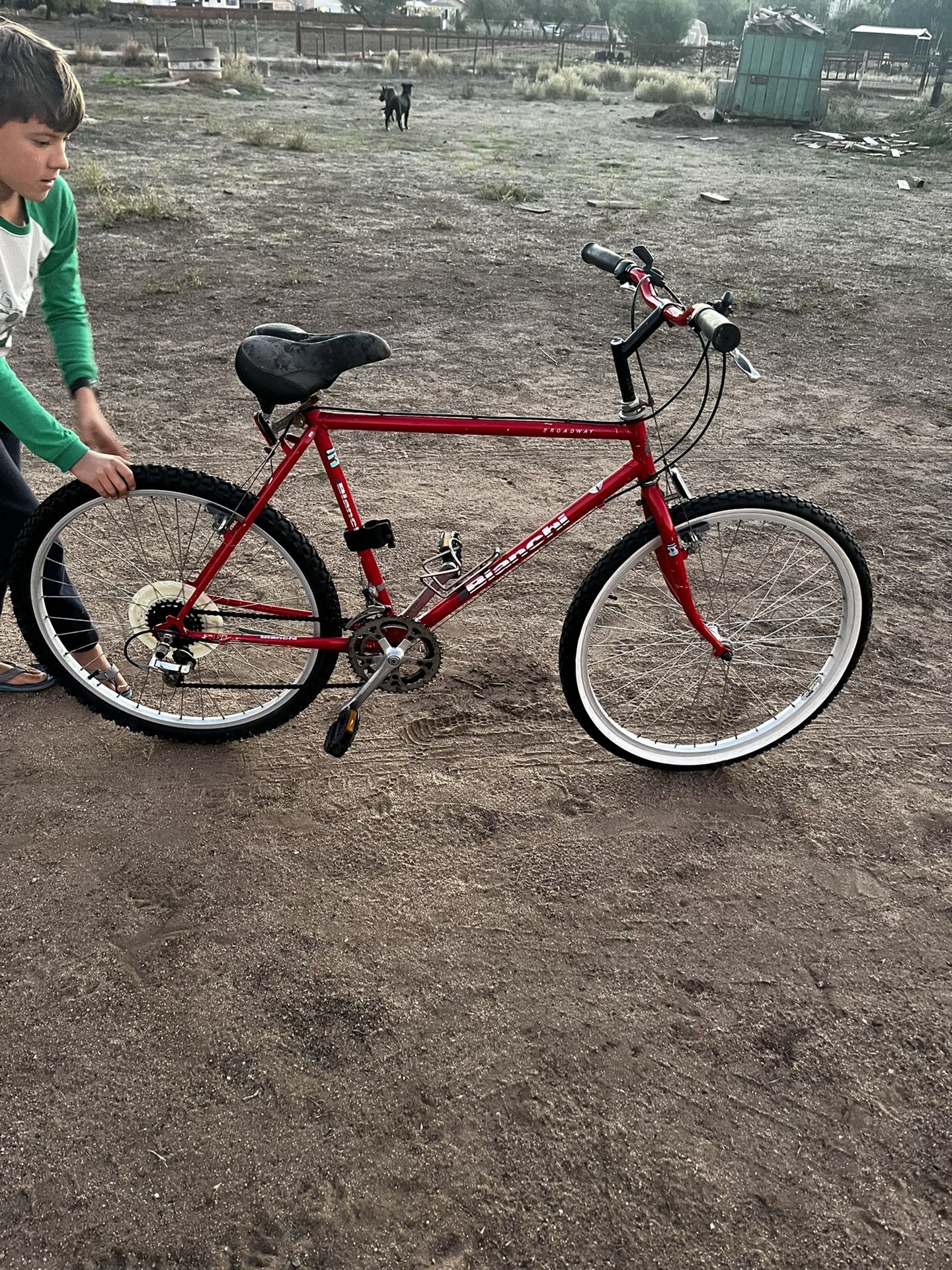 Vintage Bianchi Broadway Bicycle