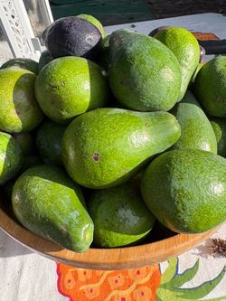 Avocados
