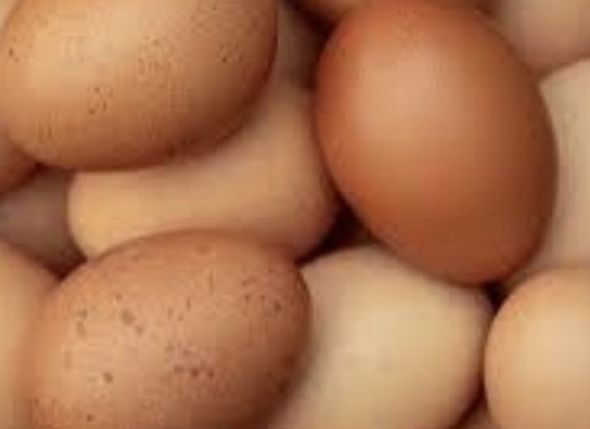 Fresh Daily Eggs Vancleave ,me
